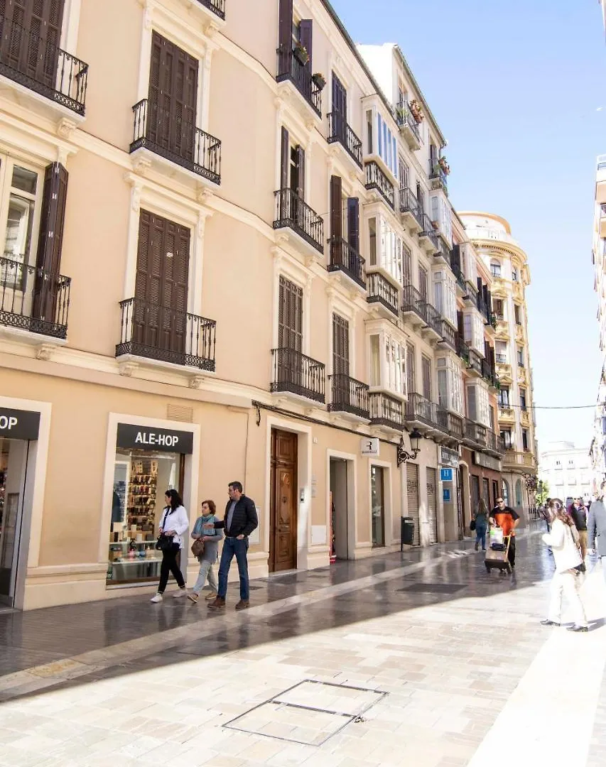 Apartment Suite Premium - Cathedral Of Malaga